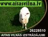 aitasvilna.lv aitasvilna.lv