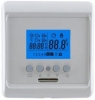 Termoregulators TD16-E