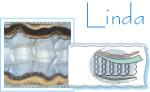LINDA